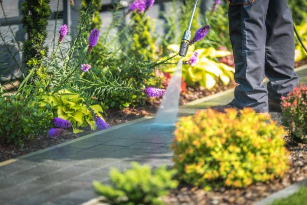 Best Patio and Deck Pressure Washing  in Vienna, GA